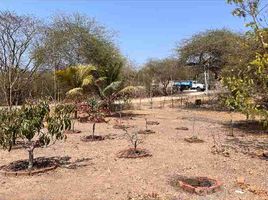  Land for sale in Playas, Guayas, General Villamil Playas, Playas