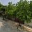2 Bedroom House for sale in Chiapa De Corzo, Chiapas, Chiapa De Corzo, Chiapas