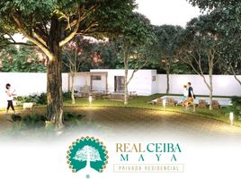  Terreno (Parcela) en venta en Merida, Yucatán, Merida