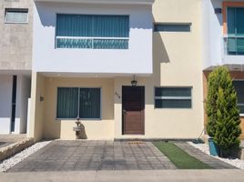 3 Habitación Casa en alquiler en Jalisco, Zapopan, Jalisco