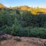  Land for sale in Chile, Vina Del Mar, Valparaiso, Valparaiso, Chile