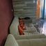 2 Habitación Apartamento en venta en Maipo, Santiago, San Bernardo, Maipo