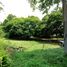  Land for sale in Muntinlupa City, Metro Manila, Muntinlupa City