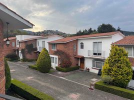 3 Schlafzimmer Wohnung zu verkaufen in Cuajimalpa De Morelos, Mexico City, Cuajimalpa De Morelos