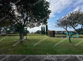  Land for sale in Puembo, Quito, Puembo