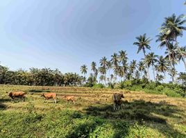  Terrain for sale in Pura Tanah Lot, Kediri, Mengwi