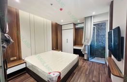 1-bedroom apartment for rent, 45 m², Hải Châu