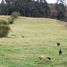  Land for sale in Villapinzon Cundinamarca, Villapinzon