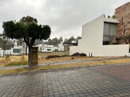  Terreno (Parcela) en venta en Puebla, Puebla, Puebla