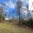  Land for sale in Chile, Pucon, Cautin, Araucania, Chile