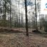  Land for sale in Chile, Pucon, Cautin, Araucania, Chile