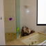 4 Bedroom House for sale in Monterrey, Nuevo Leon, Monterrey