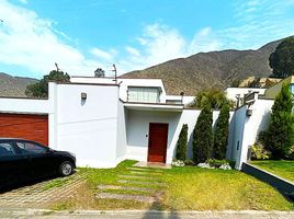 4 Bedroom House for rent in Lima, Lima, Pachacamac, Lima