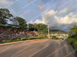  Terreno (Parcela) en venta en Jose Azueta, Guerrero, Jose Azueta