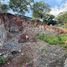  Terreno (Parcela) en venta en Jose Azueta, Guerrero, Jose Azueta