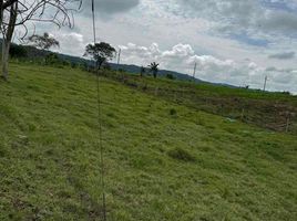  Land for sale in Pereira, Risaralda, Pereira