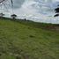  Land for sale in Pereira, Risaralda, Pereira