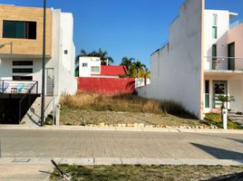  Terreno (Parcela) en venta en México, Villa Guerrero, México