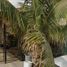 2 Habitación Casa en venta en La Paz, Baja California Sur, La Paz, Baja California Sur