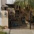 2 Habitación Casa en venta en La Paz, Baja California Sur, La Paz, Baja California Sur