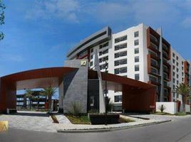 4 chambre Appartement for rent in Hidalgo, San Agustin Tlaxiaca, Hidalgo