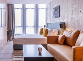 1 Habitación Apartamento en alquiler en Miguel Hidalgo, Ciudad de México, Miguel Hidalgo