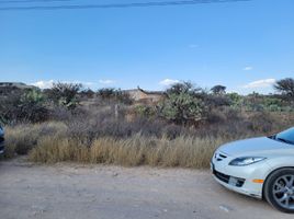  Grundstück zu verkaufen in Mexquitic De Carmona, San Luis Potosi, Mexquitic De Carmona