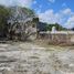  Terreno (Parcela) en alquiler en Cozumel, Quintana Roo, Cozumel, Quintana Roo