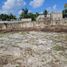  Terreno (Parcela) en alquiler en Cozumel, Quintana Roo, Cozumel, Quintana Roo
