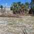  Terreno (Parcela) en alquiler en Cozumel, Quintana Roo, Cozumel, Quintana Roo