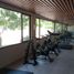 1 Schlafzimmer Appartement zu vermieten in Cozumel, Quintana Roo, Cozumel