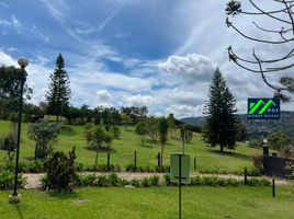  Land for sale in Guarne, Antioquia, Guarne