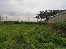  Land for sale in Samborondon, Guayas, Samborondon, Samborondon