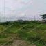  Land for sale in Guayas, Samborondon, Samborondon, Guayas