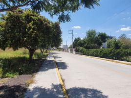  Land for sale in Salamanca, Guanajuato, Salamanca