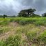  Land for sale in Calamba City, Laguna, Calamba City