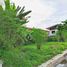 Terreno (Parcela) en venta en Lapu-Lapu City, Central Visayas, Lapu-Lapu City, Cebu