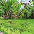  Terreno (Parcela) en venta en Lapu-Lapu City, Central Visayas, Lapu-Lapu City, Cebu