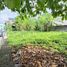  Terreno (Parcela) en venta en Lapu-Lapu City, Central Visayas, Lapu-Lapu City, Cebu