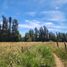  Land for sale in Chile, Maule, Talca, Maule, Chile