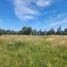  Land for sale in Chile, Maule, Talca, Maule, Chile