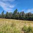  Land for sale in Chile, Maule, Talca, Maule, Chile