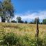  Land for sale in Chile, Maule, Talca, Maule, Chile