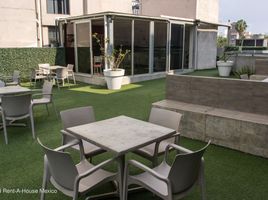 12 m² Office for rent in Miguel Hidalgo, Ciudad de México, Miguel Hidalgo