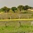  Terreno (Parcela) en venta en Alvarado, Veracruz, Alvarado, Veracruz