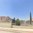 在Zapotlanejo, Jalisco出售的70 卧室 公寓, Zapotlanejo