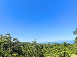  Land for sale in Puerto Princesa City, Mimaropa, Puerto Princesa City, Palawan, Mimaropa