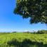  Land for sale in Puerto Princesa City, Mimaropa, Puerto Princesa City, Palawan, Mimaropa