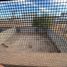 3 Bedroom House for sale in Cajeme, Sonora, Cajeme