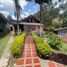 3 Habitación Casa en venta en La Ceja, Antioquia, La Ceja